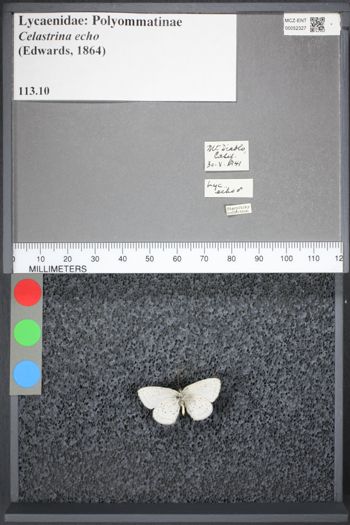 Media type: image;   Entomology 52327